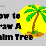 How to draw a palm tree step by step easy and color it