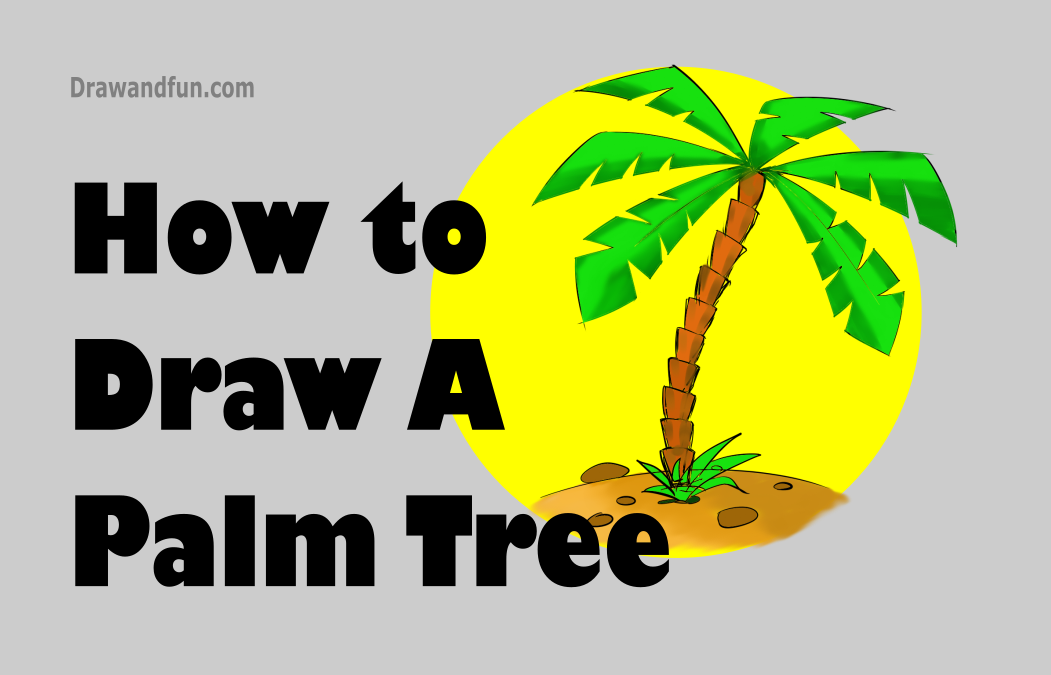 Read more about the article How to draw a palm tree step by step easy and color it